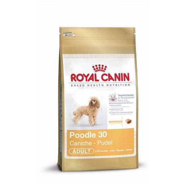 Royal Canin Pudel Adult - Pet-Ausstatter